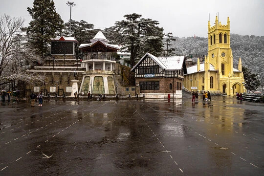 Short Shimla