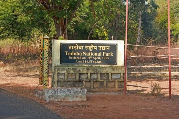 Tadoba National Park